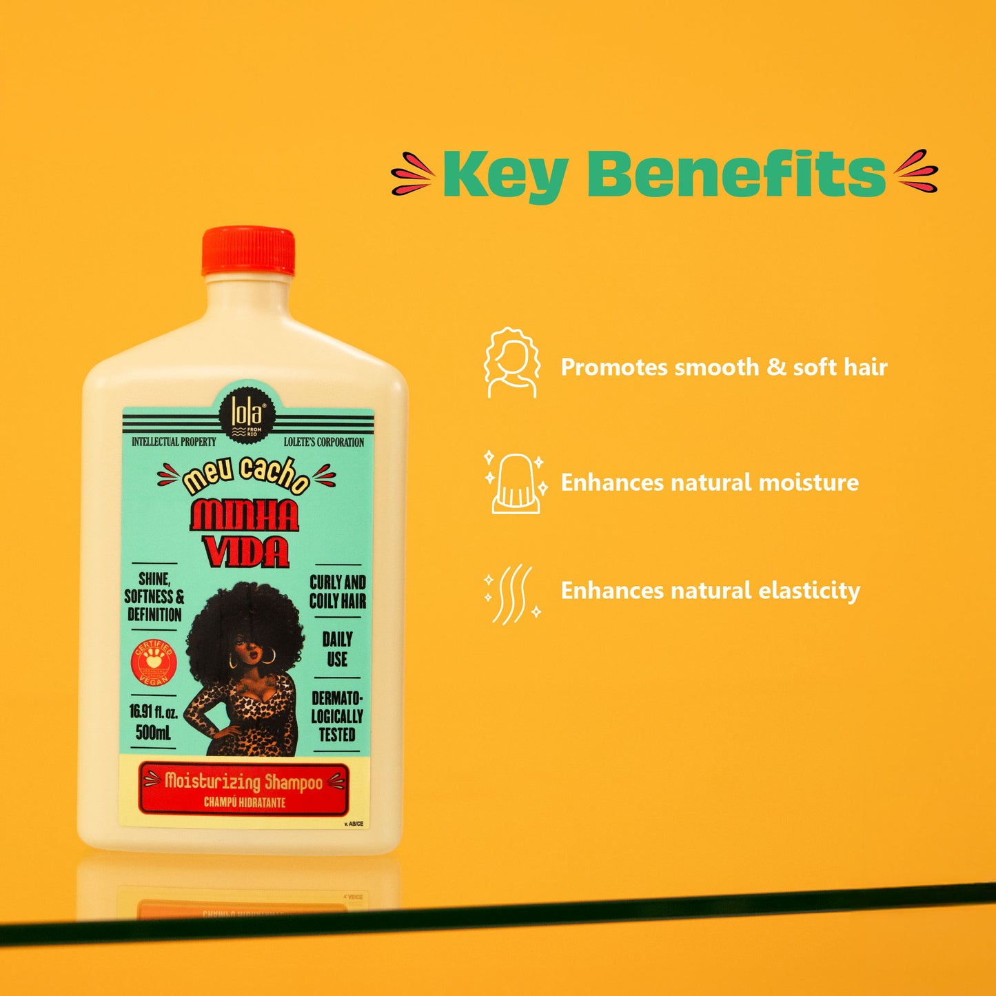 MEU CACHO MINHA VIDA SHAMPOO 16.61 FL.OZ